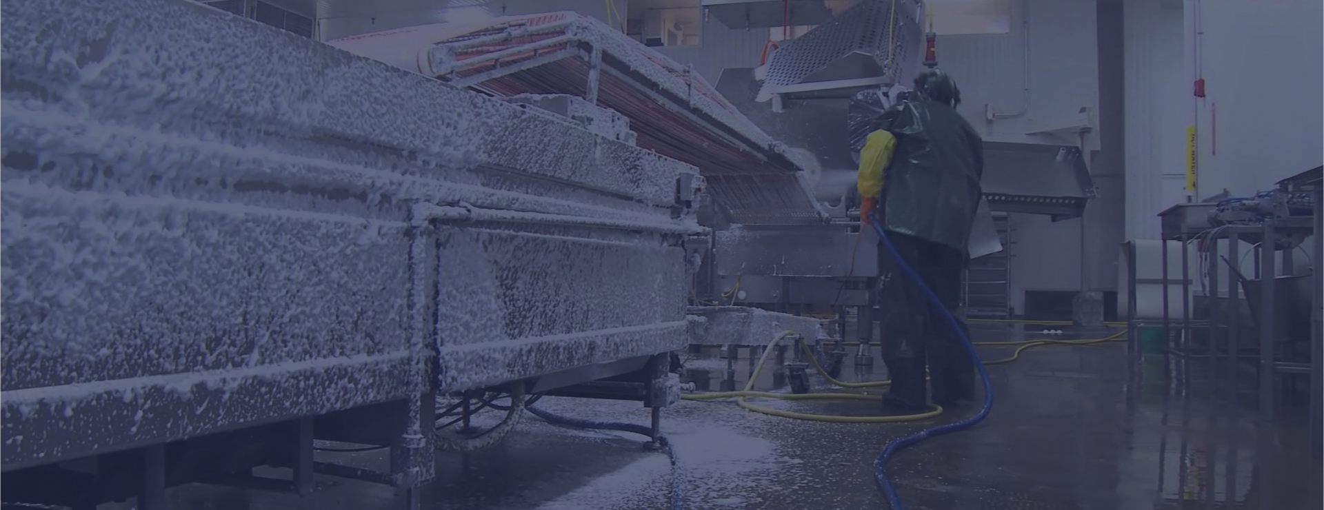 Washing and disinfection of packaging machines